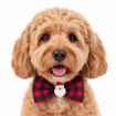 Picture of XMAS CANINE BOWTIE PATTERNED RED – One Size