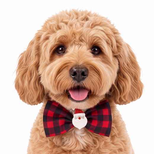 Picture of XMAS CANINE BOWTIE PATTERNED RED – One Size