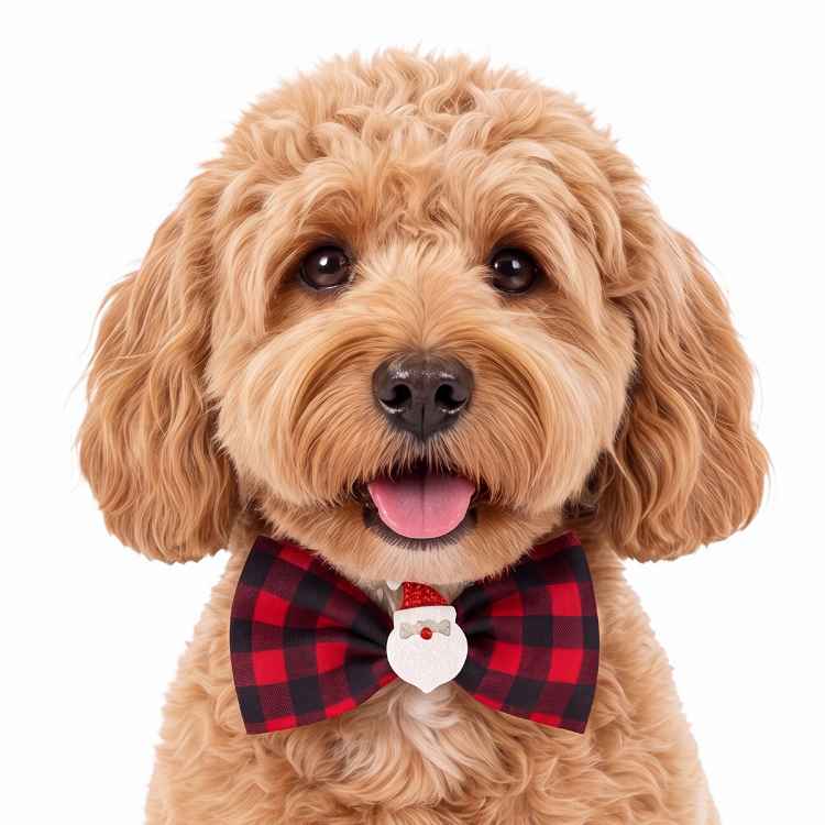 Picture of XMAS CANINE BOWTIE PATTERNED RED – One Size