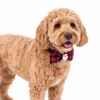 Picture of XMAS CANINE BOWTIE PATTERNED RED – One Size