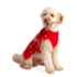 Picture of XMAS CANINE SWEATER W/FOLD BACK COLLAR- Small