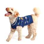 Picture of XMAS CANINE SWEATER PATTERNED BLUE – X Small