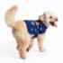 Picture of XMAS CANINE SWEATER PATTERNED BLUE – Medium