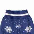 Picture of XMAS CANINE SWEATER PATTERNED BLUE – Large