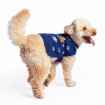 Picture of XMAS CANINE SWEATER PATTERNED BLUE – X Large