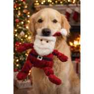 Picture of XMAS TOY CANINE Knottie St. Nick - Small