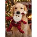 Picture of XMAS TOY CANINE Knottie St. Nick - Large