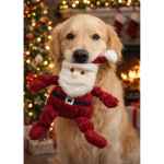 Picture of XMAS TOY CANINE Knottie St. Nick - Large
