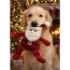 Picture of XMAS TOY CANINE Knottie St. Nick - Large