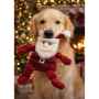 Picture of XMAS TOY CANINE Knottie St. Nick - Large