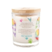 Picture of CANDLE PET HOUSE SOY WAX Snow Cone - 9oz