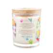 Picture of CANDLE PET HOUSE SOY WAX Snow Cone - 9oz