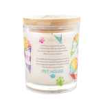 Picture of CANDLE PET HOUSE SOY WAX Snow Cone - 9oz