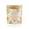 Picture of CANDLE PET HOUSE SOY Watermelon Mojito - 9oz