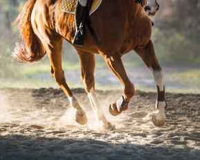 Picture for category Back On Track