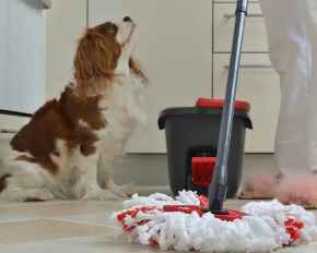Picture for category Cleaning & Household Supplies