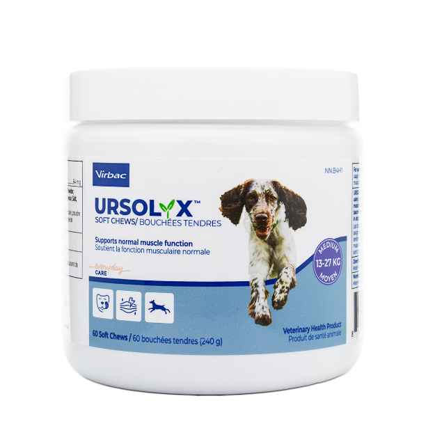 Picture of URSOLYX SOFT CHEWS for DOGS MEDIUM 13-27kg - 60s