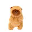 Picture of TOY DOG PLUSHIE Capybara Small - 5.9 x 3.9 x 3.1in