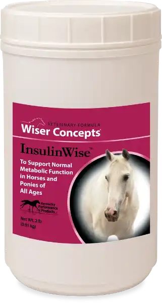 Picture of Wiser Concepts InsulinWise 2lb